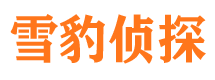 甘洛市调查公司